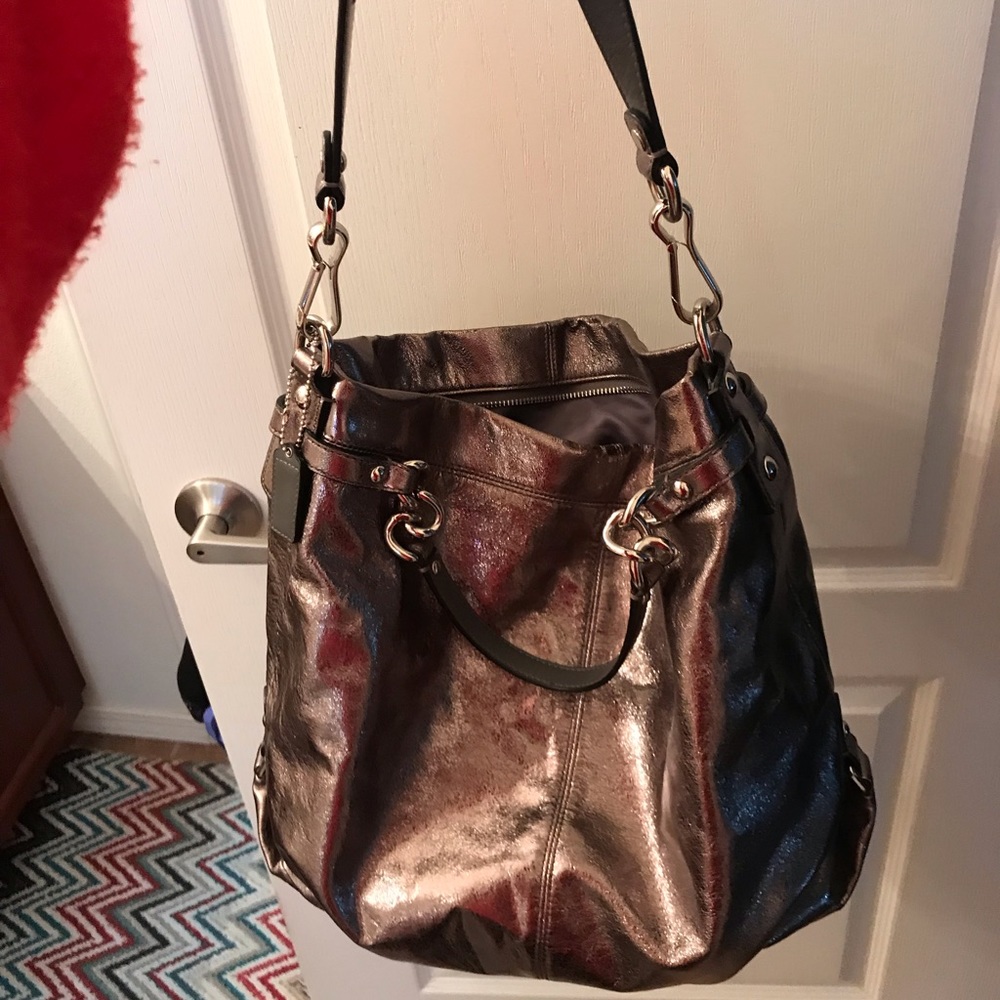 Metallic Coach purse